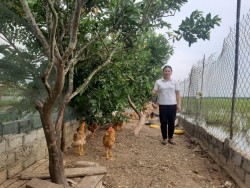 Người cán bộ trưởng thôn làm kinh tế giỏi