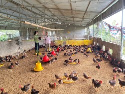 Tiếp sức nông dân sản xuất bền vững trước biến đổi khí hậu