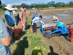 Viện Khoa học kỹ thuật nông nghiệp Bắc Trung Bộ triển khai mô hình thử nghiệm máy sạ hàng theo cụm mini trong sản xuất lúa tại Nghệ An