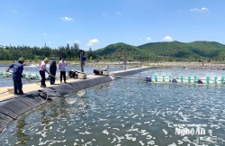 Nghệ An ban hành Đề án phát triển cây con chủ lực gắn với chế biến, bảo quản