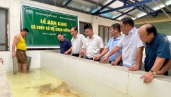 Tăng cường liên kết khuyến nông, phát triển nguồn giống cá nước ngọt chất lượng cao