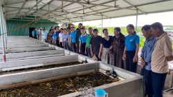 Trung tâm Khuyến nông Nghệ An phối hợp với UBND xã Đại Huệ tổ chức tập huấn nâng cao năng lực cho cán bộ chủ chốt các xóm trên địa bàn