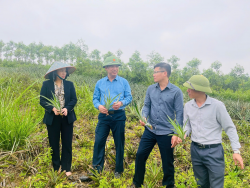 Trung tâm Khuyến nông sau sáp nhập: Phát huy hiệu quả từ sự gắn kết