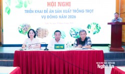 Nghệ An: Lấy thị trường làm trung tâm trong sản xuất vụ Đông 2026