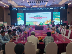 Diễn đàn Khuyến nông @ Nông nghiệp với chủ đề “Giải pháp nhân rộng mô hình canh tác lúa phát tải thấp gắn với tăng trưởng xanh”.