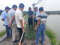 Trung tâm Khuyến nông Nghệ An tham quan, trao đổi kinh nghiệm mô hình nuôi tôm càng xanh tại tỉnh Ninh Bình