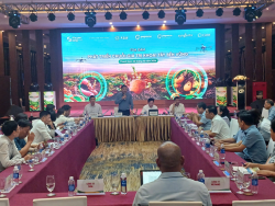 Trung tâm Khuyến nông Quốc gia tổ chức Hội nghị  về phát triển chuỗi giá trị khoai tây bền vững năm 2026.