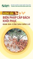 Hướng dẫn biện pháp cấp bách khôi phục đàn gia cầm sau bão lũ