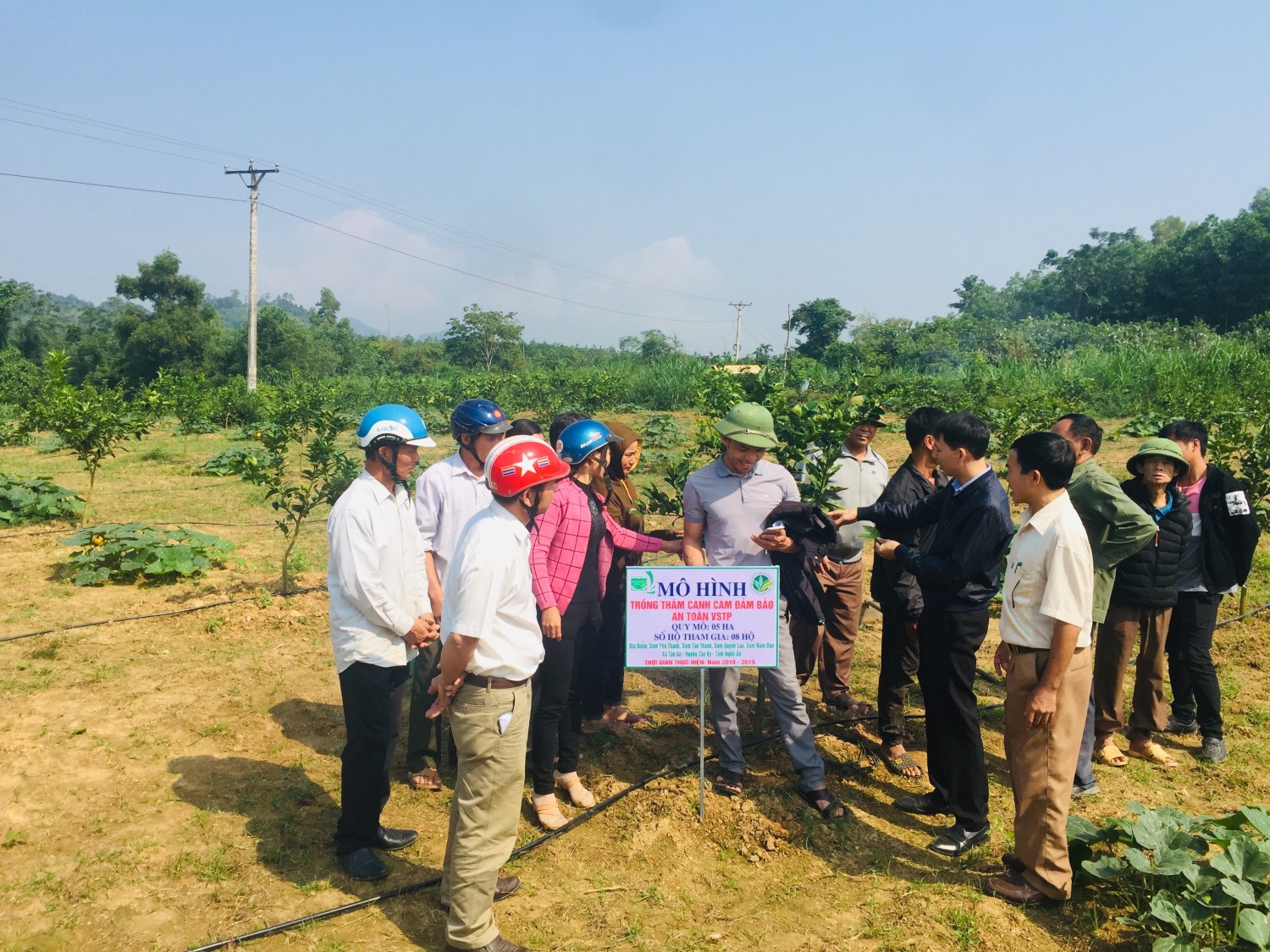 Hội thảo đầu bờ mô hình trồng thâm canh cam đảm bảo ATVSTP