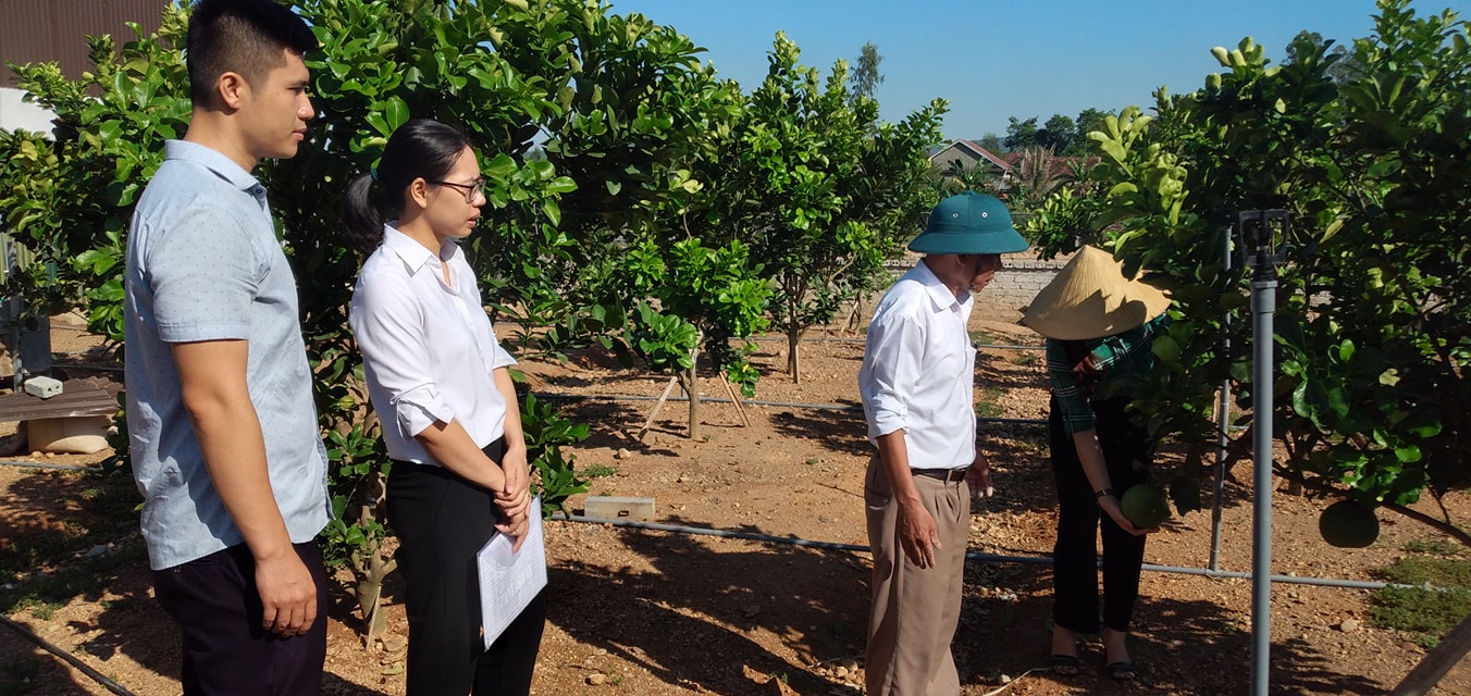 Hội nông dân Nghi Lộc đẩy nhanh tiến độ xây dựng vườn chuẩn Nông thôn mới.