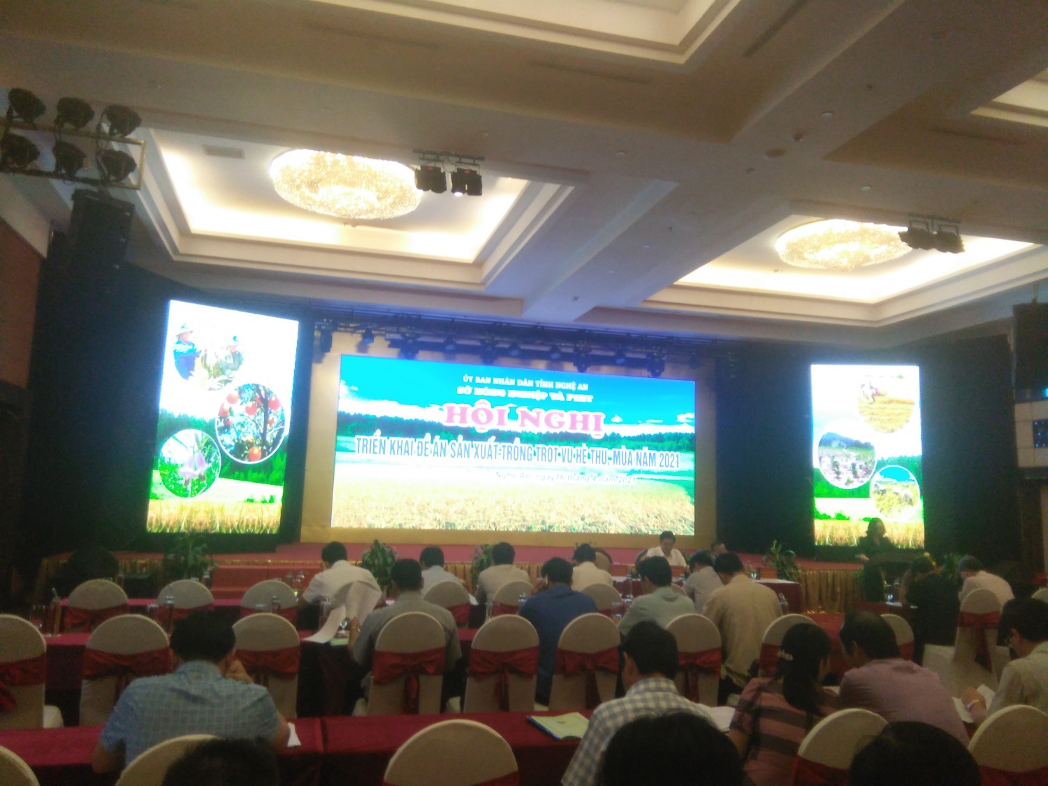 Sở Nông nghiệp và PTNT Nghệ An: Tổ chức Hội nghị triển khai Đề án sản xuất trồng trọt vụ Hè Thu, Mùa năm 2021