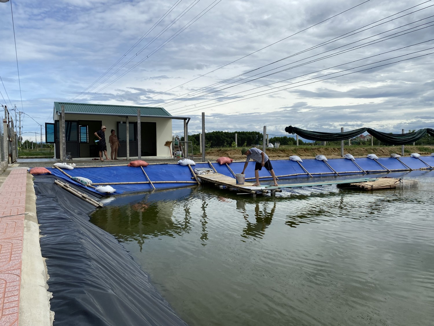 Thành phố Vinh: Xây dựng mô hình nuôi cá thát lát cườm gắn với tiêu thụ sản phẩm