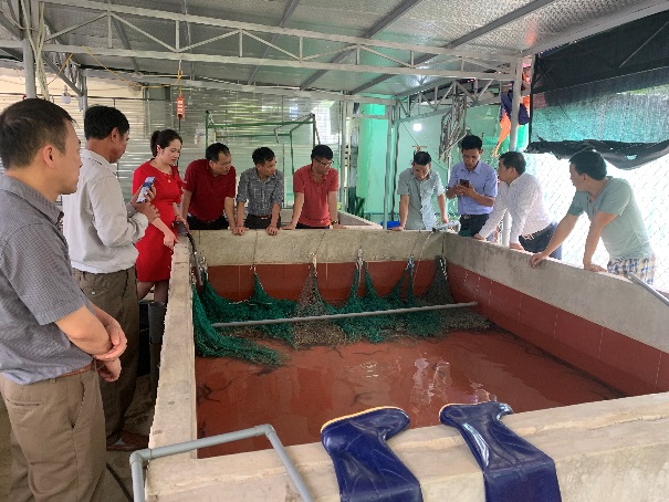 Tham quan học tập, trao đổi chia sẻ kinh nghiệm mô hình nuôi lươn thịt và lươn sinh sản tại xã Long Thành, huyện Yên Thành, tỉnh Nghệ An