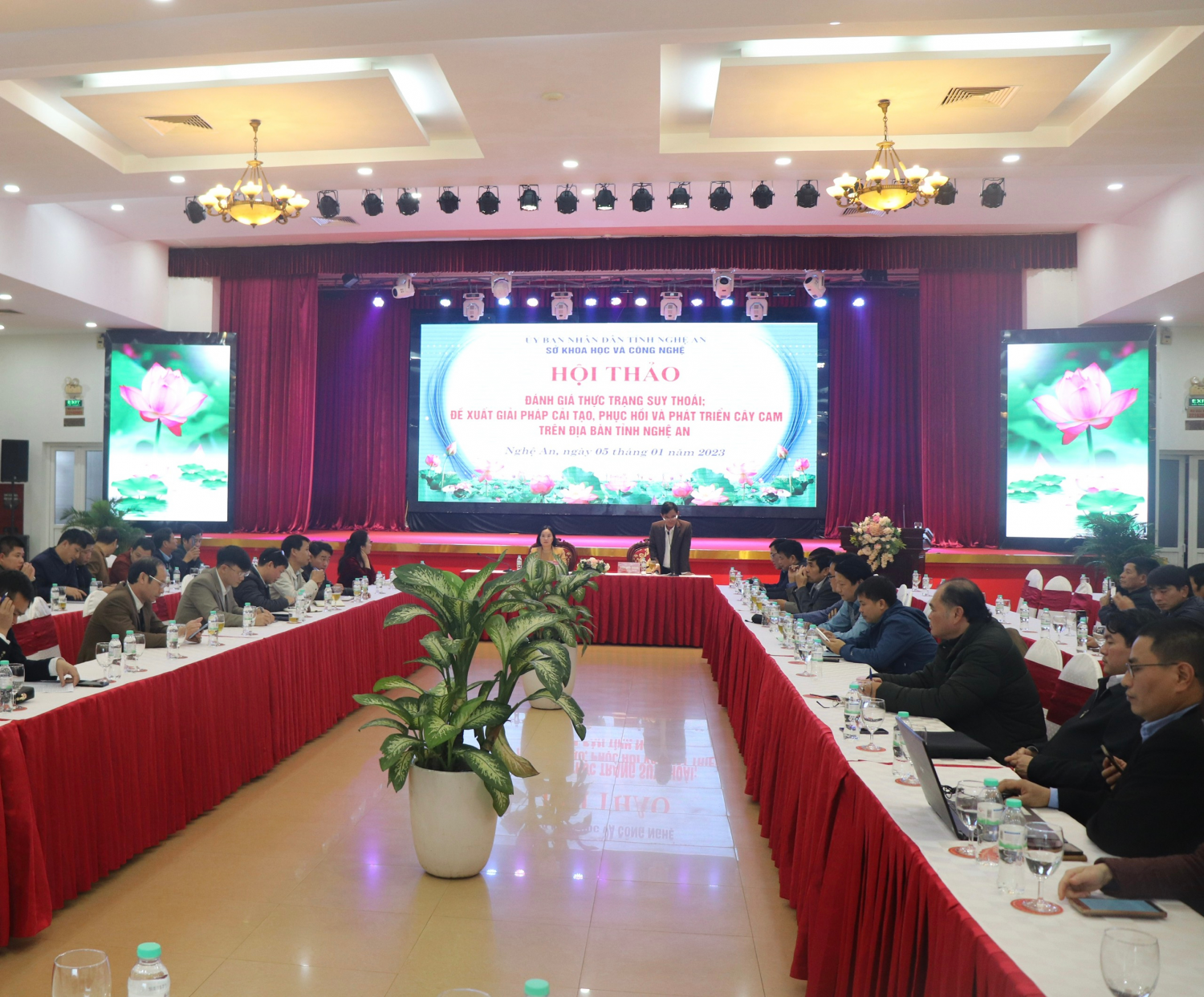 Hội thảo đánh giá thực trạng suy thoái, đề xuất giải pháp cải tạo, phục hồi và phát triển cây cam trên địa bàn tỉnh Nghệ An
