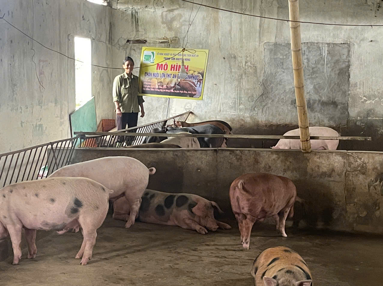 Nghiệm thu mô hình “Chăn nuôi lợn thịt an toàn sinh học”