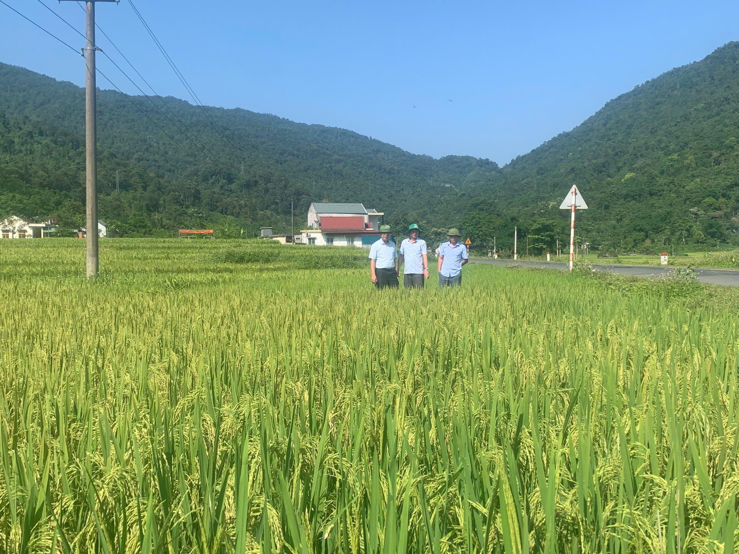 Trung tâm Khuyến nông tỉnh Nghệ An kiểm tra tình hình sản xuất nông nghiệp tại huyện Quế Phong