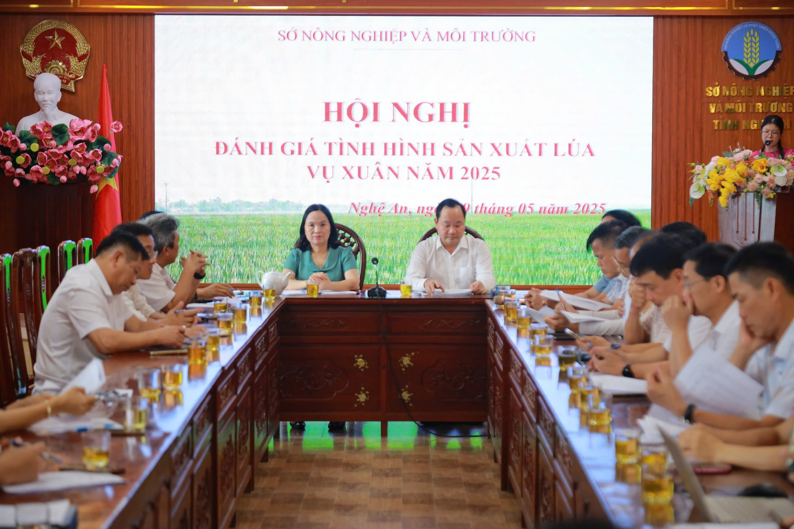 Sở Nông nghiệp và Môi trường tổ chức hội nghị đánh giá sản xuất lúa vụ xuân năm 2025