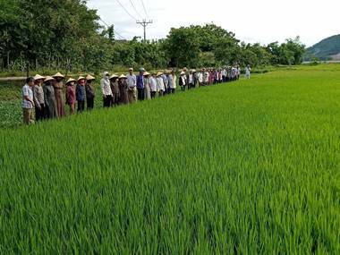 Kết quả thực hiện chương trình Khuyến nông giai đoạn 2021 - 2025
