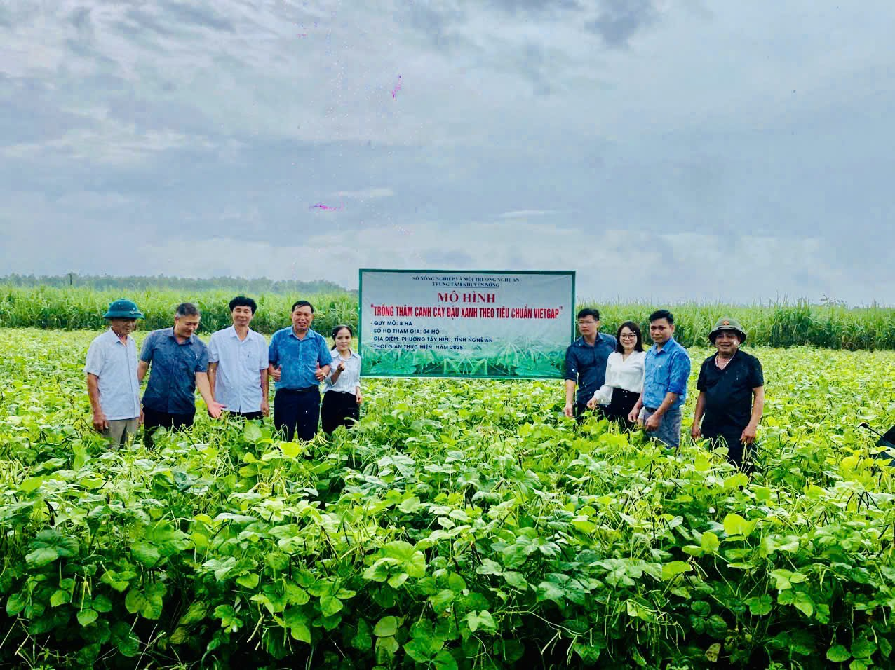 Hội thảo mô hình trồng thâm canh cây đậu xanh theo tiêu chuẩn VietGAP tại Nghệ An.