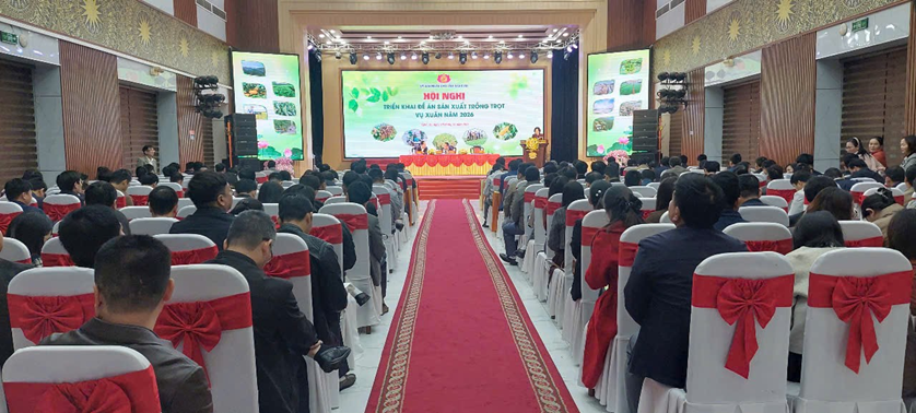 Nghệ An: Triển khai Đề án Sản xuất Trồng trọt vụ Xuân năm 2026