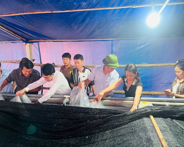 Trung tâm Khuyến nông tỉnh Nghệ An: Tổ chức giao giống và thức ăn thực hiện mô hình “Nuôi cá chình trong bể sử dụng hệ thống nước tuần hoàn khép kín”