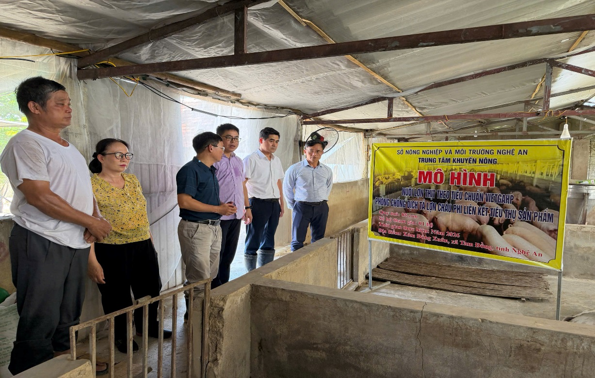 Trung tâm Khuyến nông Nghệ An tổ chức giao giống lợn thịt và thức ăn hỗn hợp cho mô hình “Nuôi lợn thịt theo tiêu chuẩn VietGAHP phòng chống bệnh dịch tả lợn Châu Phi, liên kết tiêu thụ sản phẩm”