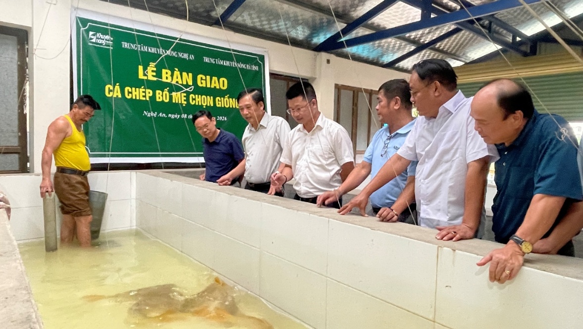 Tăng cường liên kết khuyến nông, phát triển nguồn giống cá nước ngọt chất lượng cao