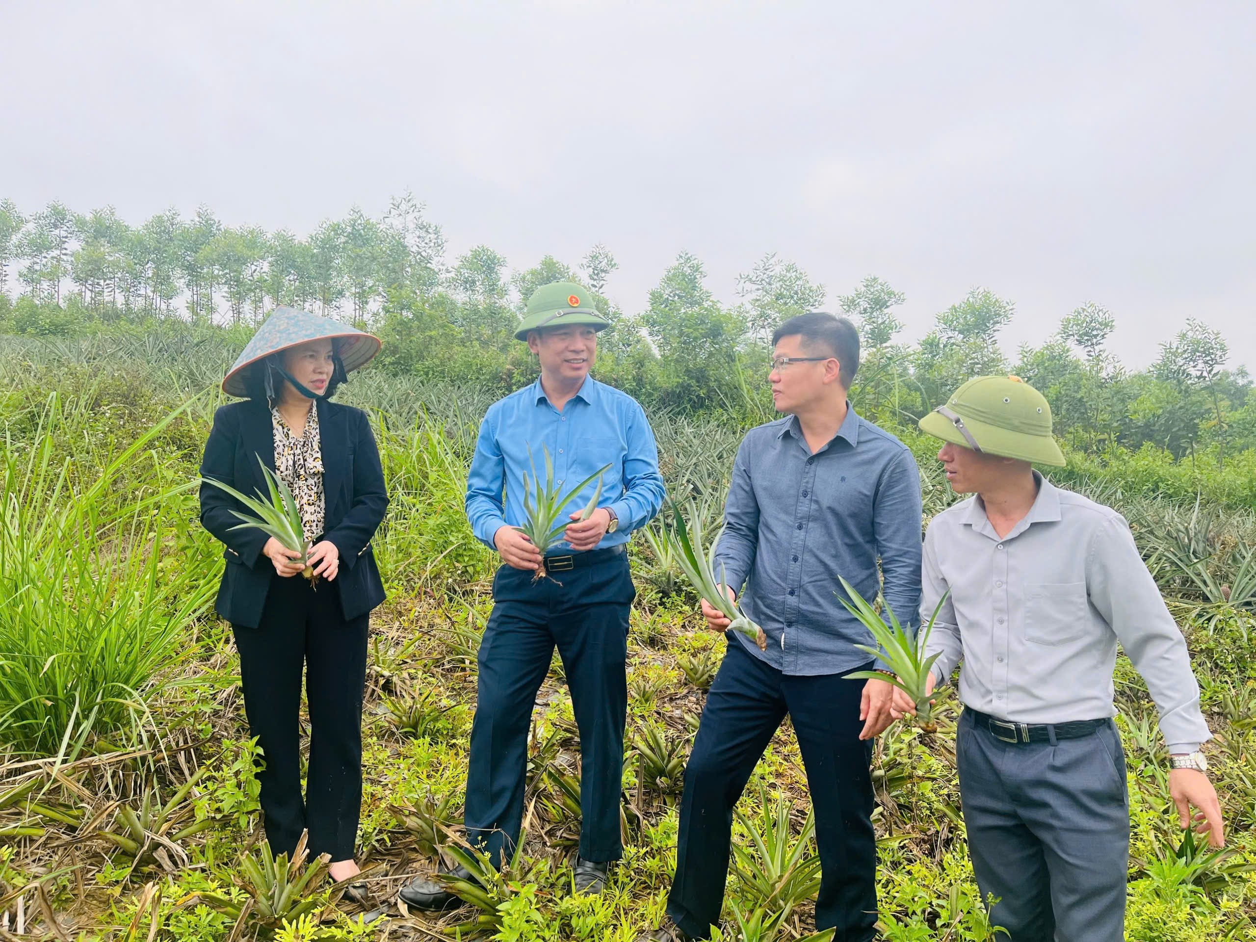 Trung tâm Khuyến nông sau sáp nhập: Phát huy hiệu quả từ sự gắn kết