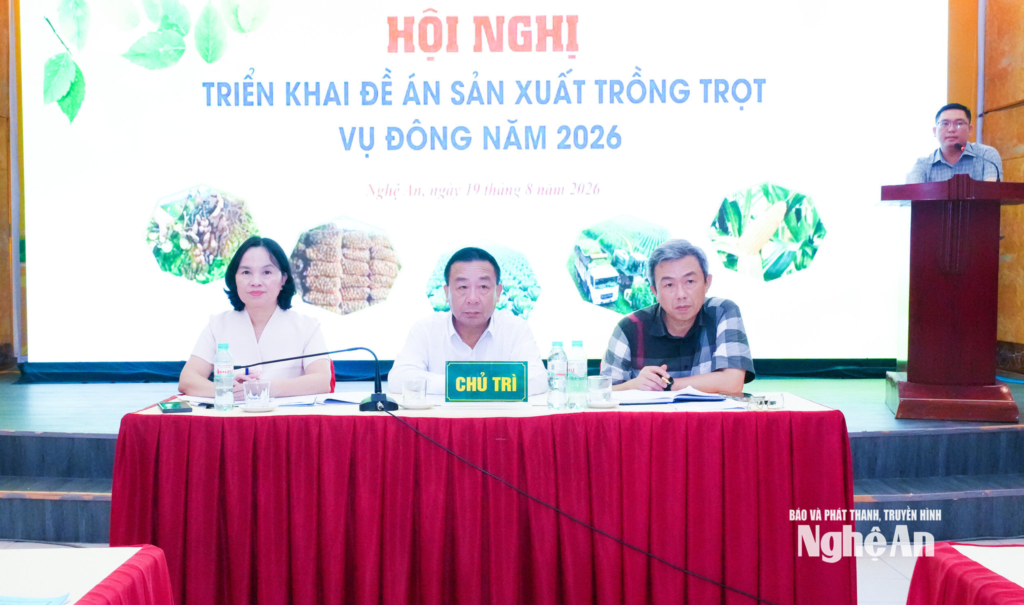Nghệ An: Lấy thị trường làm trung tâm trong sản xuất vụ Đông 2026