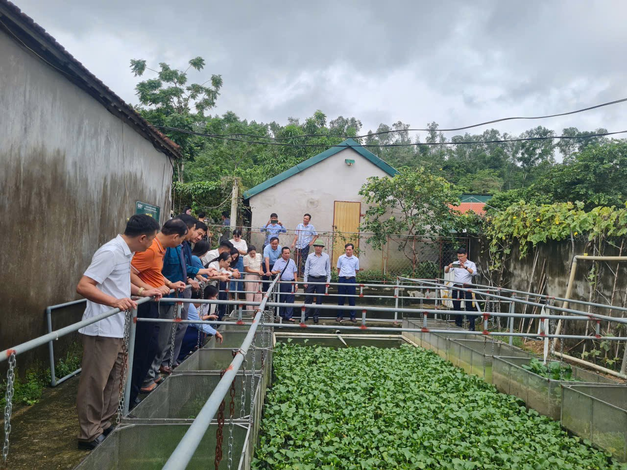 Trung tâm KHuyến nông Nghệ An: Tập huấn hướng dẫn thực hiện nhiệm vụ Khuyến nông theo mô hình tổ chức chính quyền địa phương 2 cấp tại tỉnh Nghệ An
