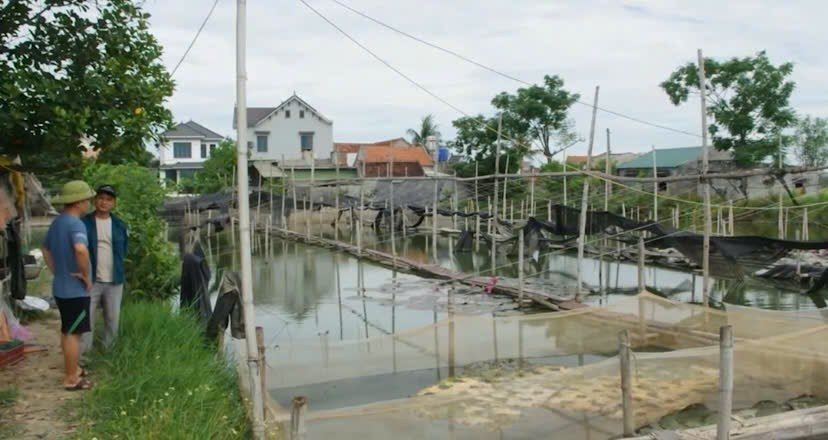 Nuôi ếch khép kín – hướng làm giàu của nông dân trẻ Quỳnh Anh