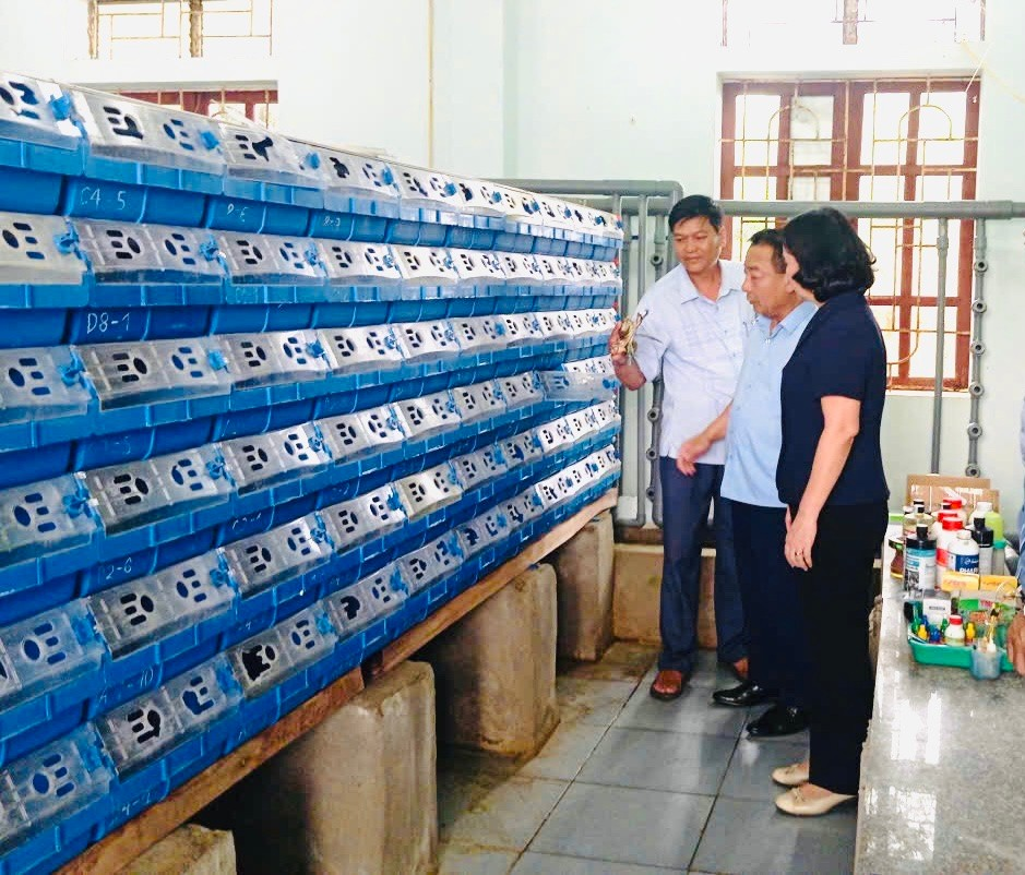 Trung tâm Khuyến nông Nghệ An: Hội thảo đánh giá hiệu quả dự án nuôi cua biển thương phẩm trong ô lồng theo công nghệ tuần hoàn khép kín