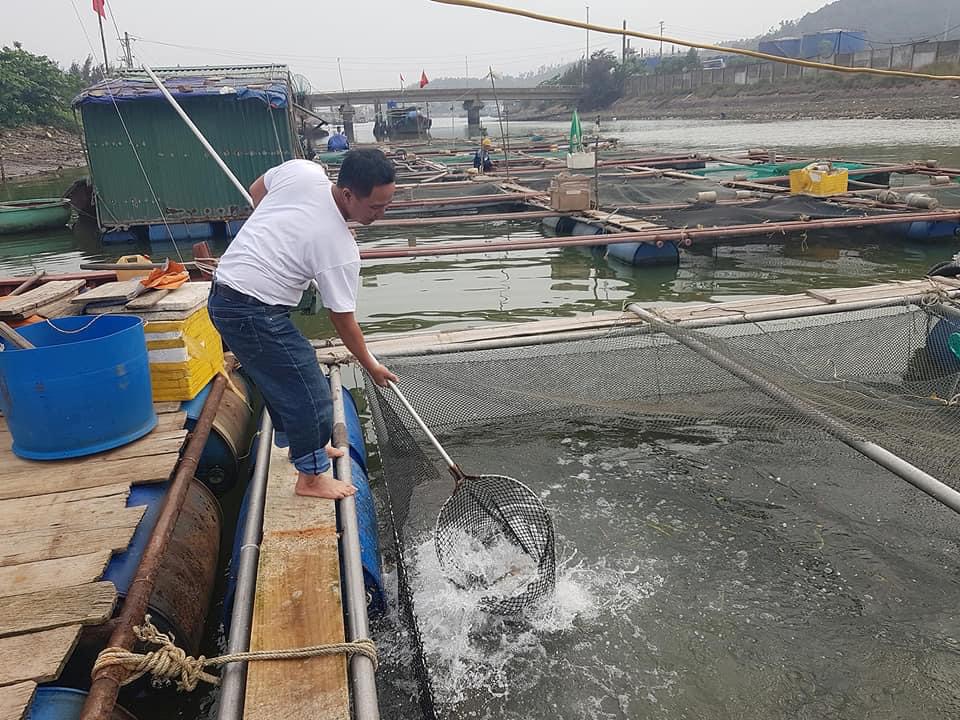 Nuoi-cac-long-cua-song-cua-ho-Vu-Van-Manh-xa-Nghi-Quang-huye