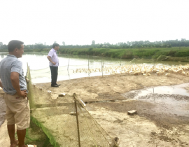 Kiểm tra mô hình chăn nuôi Vịt tại xã Khánh Sơn huyện Nam Đàn