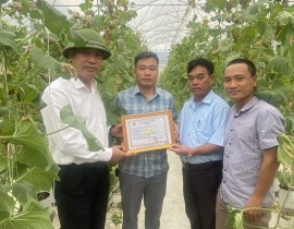 Trao giấy chứng nhận VIETGAP cho nhà vườn "T-H-FARM" thuộc HTX dich vụ NN NT xã Tây Thành huyện Yên Thành