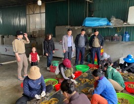 Lãnh đạo Sở nông nghiệp & PTNT, lãnh đạo Trung tâm Khuyến nông Nghệ An kiểm tra mô hình nuôi lươn từ sản xuất giống, nuôi, đến chế biến tại xã Long Thành huyện Yên Thành