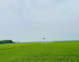 Ảnh tập san số 2/2025