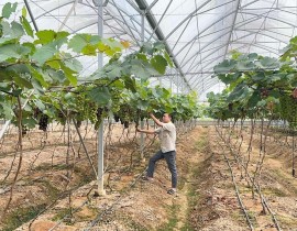 Ảnh tập san số 5 năm 2025