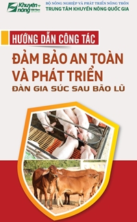 Hướng dẫn công tác đảm bảo an toàn và phát triển đàn gia súc sau bão lũ