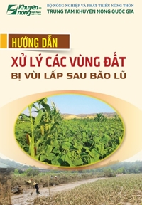 Hướng dẫn xử lý các vùng đất bị vùi lấp sau bão, lũ